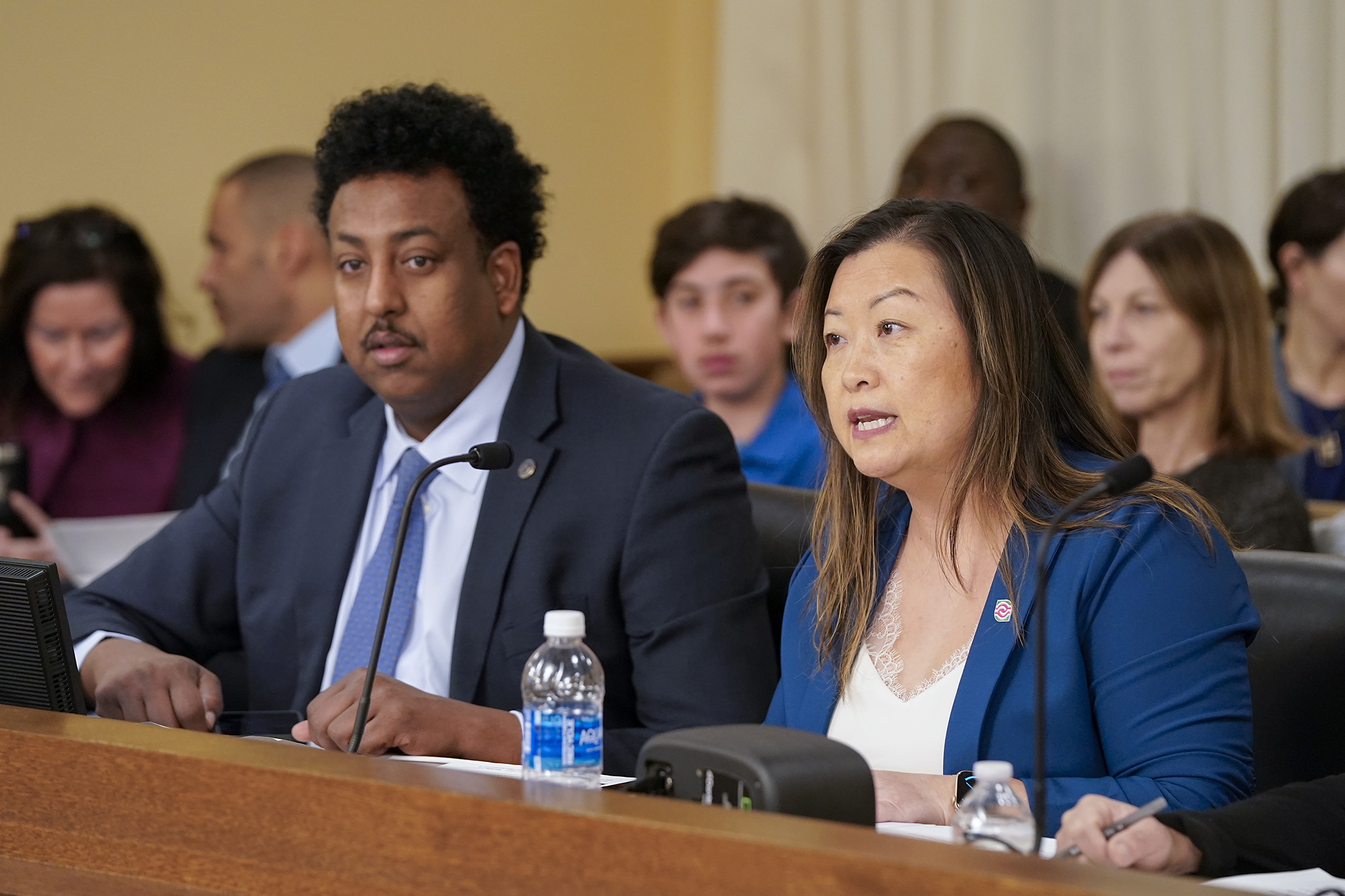 May yer Thao, president and CEO of Hmong American Partnership, testifies Feb. 18 before the House Workforce, Labor, and Economic Development Finance and Policy Committee in support of HF110, sponsored by Rep. Samakab Hussein, left. (Photo by Michele Jokinen)